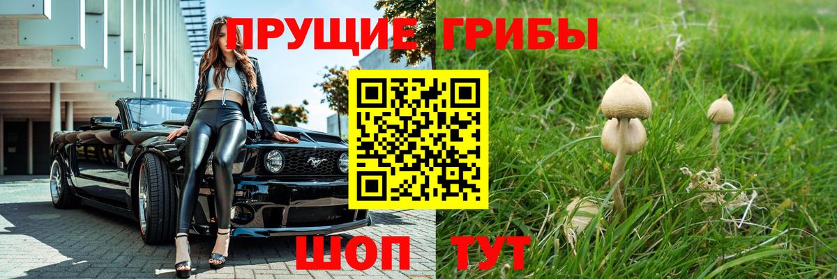 Псилоцибиновые грибы Cubensis  Галлюциногенные грибы Psilocybe  Луга  Вход с VPN 