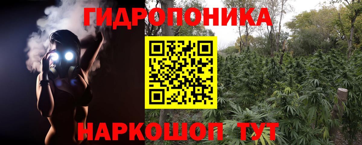 МАРИХУАНА Amnesia Луга